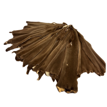 Load image into Gallery viewer, Audinės kailis / Mink skins