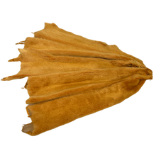 Load image into Gallery viewer, Audinės kailis / Mink skins