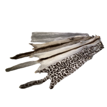Load image into Gallery viewer, Audinės kailis / Mink skins
