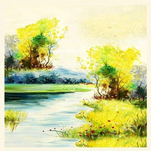 Load image into Gallery viewer, Mod. DS-ASL-3151-11
